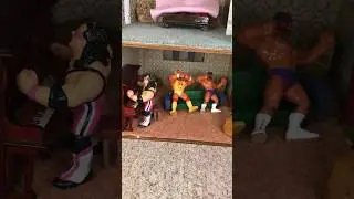 WWF Legends House #wwe #wrestlingfigures #wwfhasbro