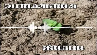 Альбом "Энтальпия жизни"