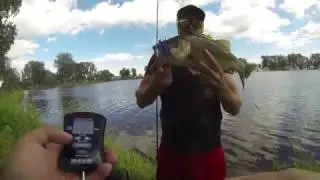 Bass and Pike Fishing July 2015