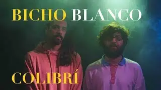 Bicho Blanco - Colibrí | CC SINGLES
