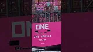 MY EYES WENT WIDE WATCHING the Most COLOURFUL CARGO ONE AQUILA ||ShareV Linda