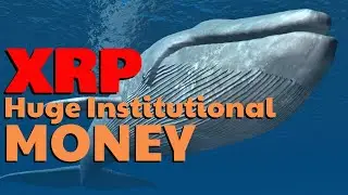 XRP Momentum набирает популярность среди учреждений/Доказательство институциональных инвестиций в криптовалюту