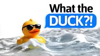What the DUCK?! - Comedy Pop Song | AI Music and Animation | Paul Hammel