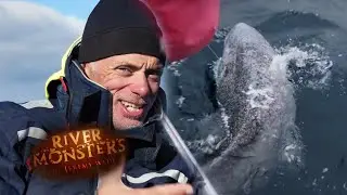 Fighting A Greenland Shark | SHARK | River Monsters