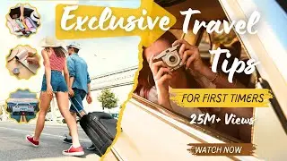 Beginner's Guide to the Perfect Road Trip: Tips & Tricks