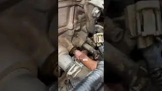 How to remove water temperature switch #automobile #auto #mechanic #carlover #repair #carproblems