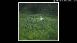 Phoebe Bridgers - The Gold