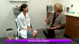 The Paw Report, Episode 1503 - The Dog Aging Project