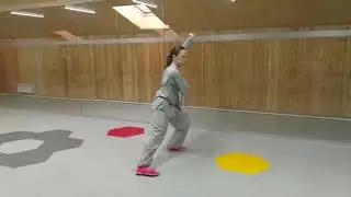 Тай чи 48 форм часть 3. Tai chi 48 form part 3.