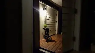 Security camera caught this #aigenerated #aisimulation #catatdoor #cctvfootage #confusing #doorbell