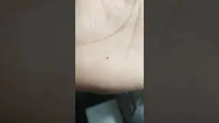 Oppo A12 dead phone tha on ho gya