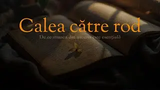 Cosmin Damșa - Calea către rod: De ce munca din ascuns este esențială