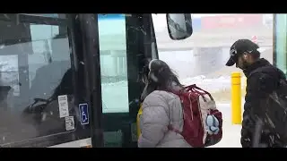Drop in International Student Visas impacted Brampton Transit ridership | OMNI News Punjabi