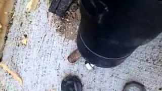 Shop Vac Ultra Pro Demonstration