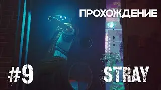 Stray/ Часть 9 /  Прохождение / СЛИШКОМ МНОГО РОБОТОВ / #virk #stray #прохождение