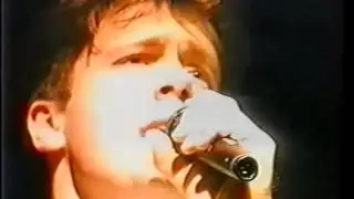 Fire of Love - Tim Breen 2XX