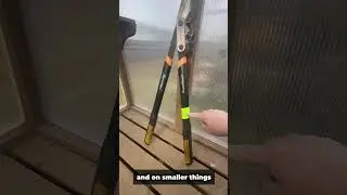 Always losing stuff?