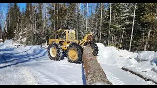 LOGGING SKIDDER  PINE AND CEDAR in the snow