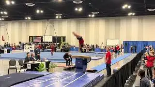 2025 Regional 1 Gymnastics competitions. Iaroslav Krytsyn. Level 7. Vault