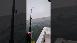 December 1st 2023 striper trolling
