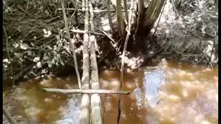Ambil buah durian dan buah cempedak di kebun gais...