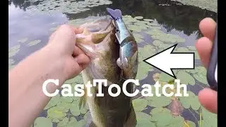 CastToCatch: Deps Bullshooter 160
