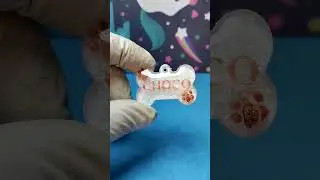 Resin art for beginners | Dog id tag craft business #shorts #dogtags #viral #resinart