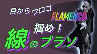 【フラメンコ】ブラソの極意は線にあり！
