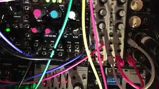 Psytrance Modular Synth Alien Zapper Lead