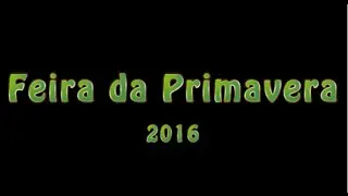 Feira da Primavera 2016 - Escola Secundária Joaquim de Araújo