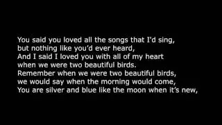 Passenger Beautiful Birds Lyrics