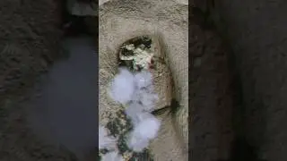 FPV Kamikaze Drone (game) Grenades in Trenches #shorts #fyp #kamikaze #fpvdrone #kamikazedrones