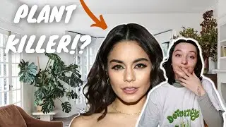 JUDGING VANESSA HUDGENS' HOUSEPLANTS | big statement plants + a sad monstera deliciosa