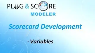 Application of Variables in the Scorecard Development Process