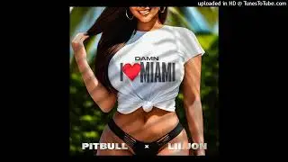 Pitbull / Lil Jon  - Damn I Love Miami (Pitched Explicit)