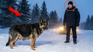 A Sheriff a Snowstorm and a Puppy on His Doorstep The Story That Restored His Broken Heart