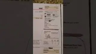 How To Read Your Electric Bill After Going Solar | Clean Solar Energy by Go Solar