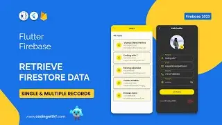 How to Fetch Data from Cloud Firestore in Flutter [2025]