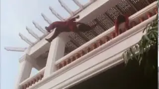 Don The Dragon Wilson (4) 