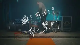 BRADIO - 瞬き羽ばたき、故に繋がり(Alleva-Coppolo LG5 Bass play movie)