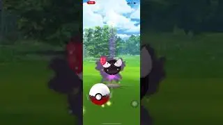 Gastly Community Event 2020 Found a Perfect Park to Get Pokemon Balls and Catch Shiny Gastly