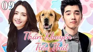 💘Thần Khuyển Tiểu Thất - Tập 09 | Bộ phim tình cảm lãng mạn dễ thương và hài hước hấp dẫn nhất🔥