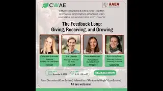 The Feedback Loop: Giving, Receiving, and Growing