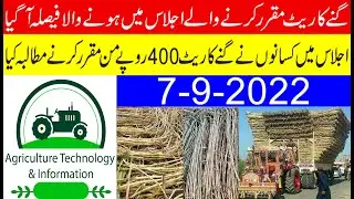 Sugarcane rates decided for 2022-2023 | Gany k rate k hawaly sa khabar aa gai | sugar can rate