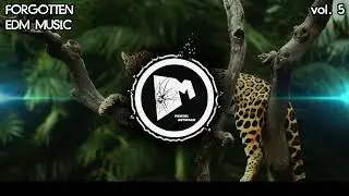 Forgotten EDM Music vol. 5 (Jungle Terror)