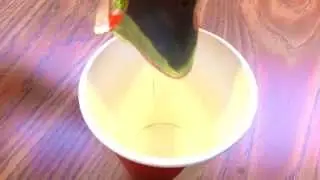 The Journey to Perfection