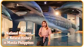 National Museum of Natural History in Manila Philippines