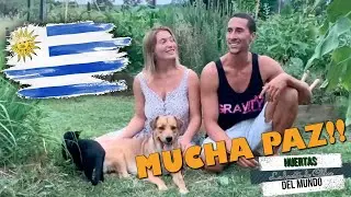 HUERTA DE PAZ: URUGUAY (HDM)