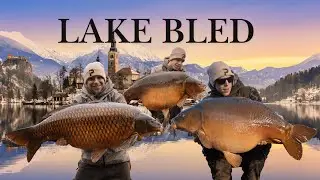Weihnachten in Bled!