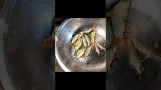 Cơm canh đạm bạc ẩm thực miền T&acirc;y